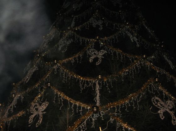 Piata-Sfatului-brad-Tampa-Casa (13)_260517.JPG