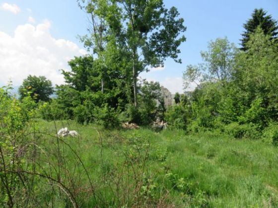 BRAŞOV. Peste 25 de milioane de lei pentru reabilitarea Spitalului din Zărneşti şi pentru un parc la Victoria 7 Victoria 1_259121.jpg