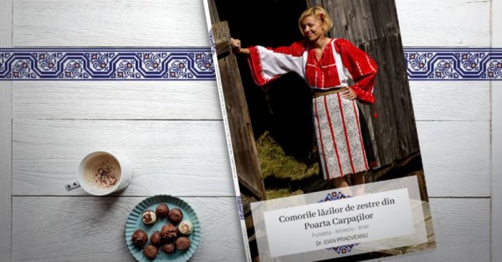 comori-zestre (3)_259795.jpg