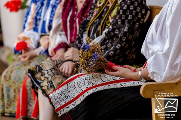 comori-zestre (5)_259796.jpg