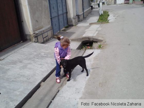 disparuta comana 3_261715.jpg