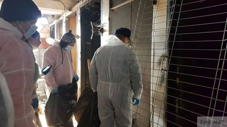 Update. BRAȘOV. Un al 18-lea cățel a fost găsit în viață, în adăpostul din Prejmer! Administratorul, în continuare căutat! Atenție la înșelăciuni!!! 3 adapost catei 3_262510.jpg