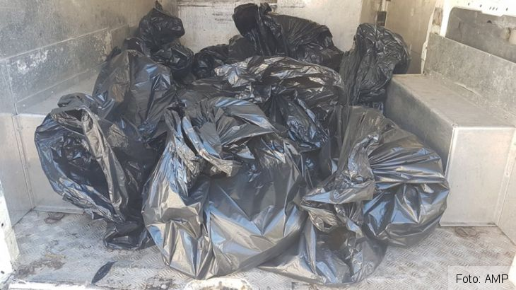 Update. BRAȘOV. Un al 18-lea cățel a fost găsit în viață, în adăpostul din Prejmer! Administratorul, în continuare căutat! Atenție la înșelăciuni!!! 6 adapost catei 6_262513.jpg