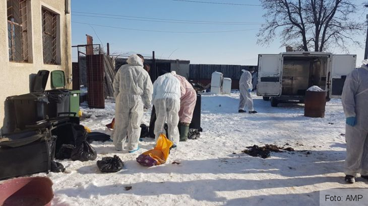 Update. BRAȘOV. Un al 18-lea cățel a fost găsit în viață, în adăpostul din Prejmer! Administratorul, în continuare căutat! Atenție la înșelăciuni!!! 8 adapost catei_262516.jpg