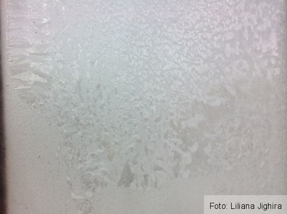 BRAŞOV. Gerul a „muşcat” de azi-noapte la minus 20. Ce ne mai aşteaptă 2 flori-gheata_262025.jpg