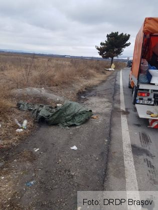 gunoaie 2_261844.jpg