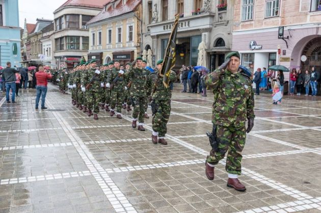 BRAȘOV. Batalionul 206 Artilerie aniversează 50 de ani de la înființare 2 image00028_262196.jpeg