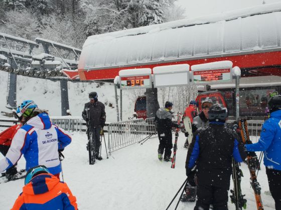 schiori (1)_261989.jpeg