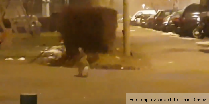 iepuras 4_263640.png