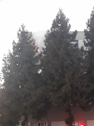 incendiu carpatilor 2_263141.jpg