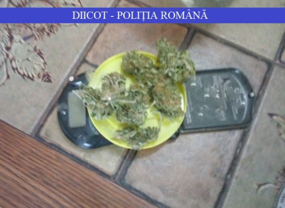 Prins în flagrant, în timp ce vindea droguri de 33.000 de lei 2 droguri arad 2_264611.jpg