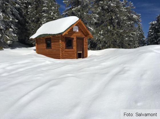 refugiu covasna 4_264083.jpg