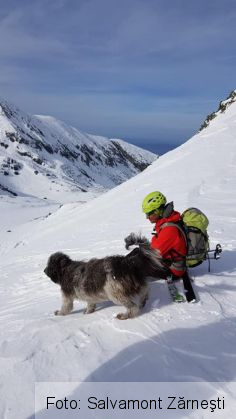 Delegaţie de salvamontişti italieni, drumeţii în munţii Bucegi, Făgăraş, Parâng şi Retezat 5 salvamontisti italieni 3_264394.jpg