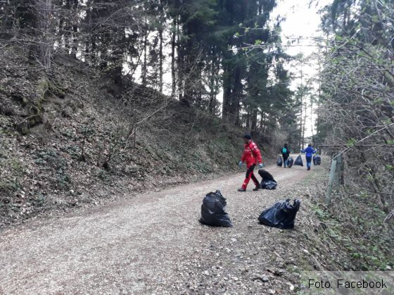 eco sacele 3_265553.jpg