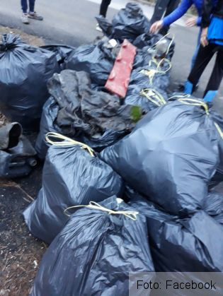 eco sacele 4_265552.jpg