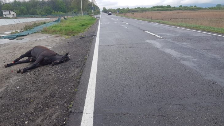 IMG-20190510-WA0004 (1)_266908.jpg