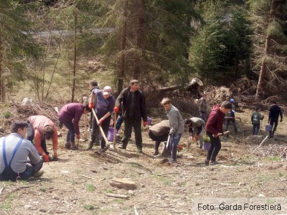 WhatsApp Image 2019-05-16 at 10.32.05(1)_267207.jpeg