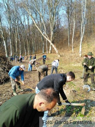 WhatsApp Image 2019-05-16 at 10.32.05_267209.jpeg