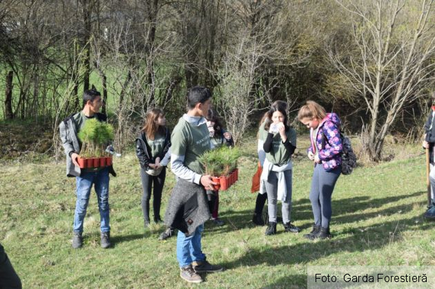 WhatsApp Image 2019-05-16 at 10.32.07_267212.jpeg