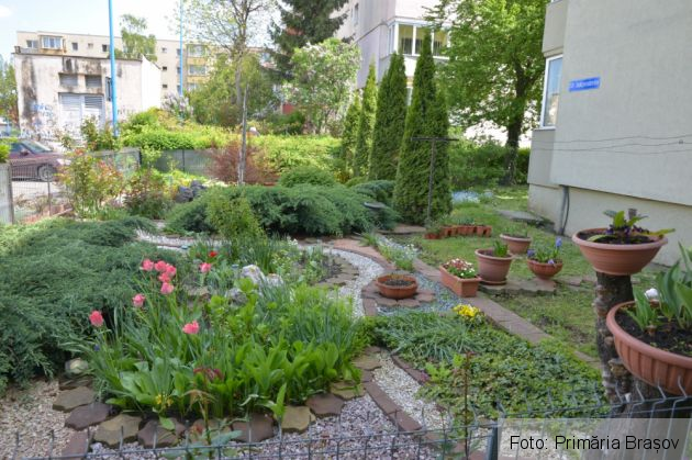 gradina1_267057.jpg