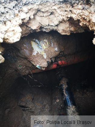 groapa schei_267430.jpg