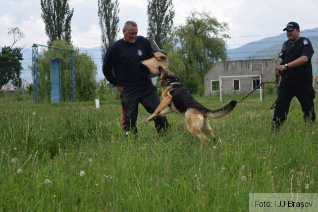 liceeni ijj brasov 6_267400.jpg