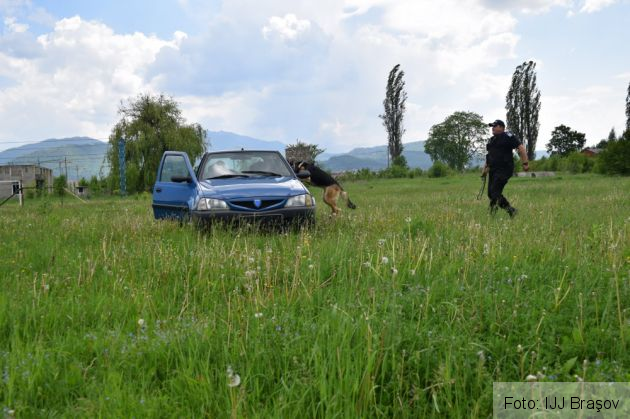 liceeni ijj brasov 7_267403.jpg
