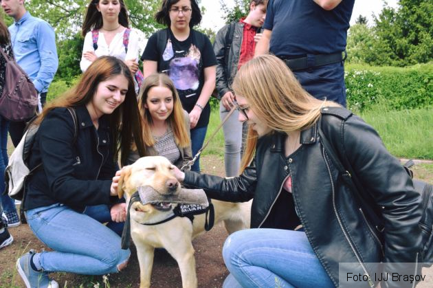 liceeni ijj brasov_267406.jpg