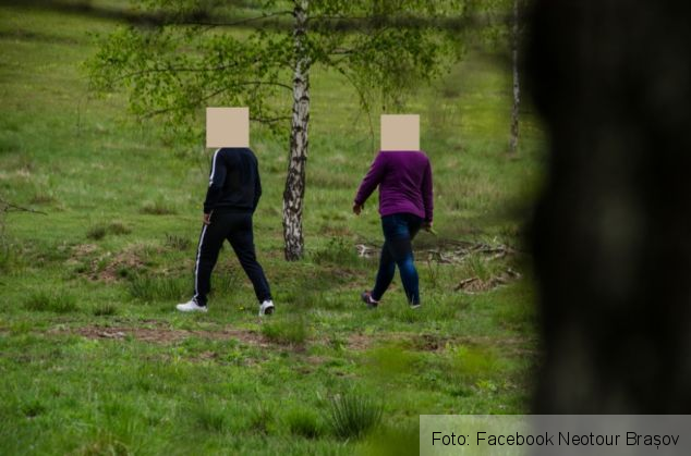 poiana narciselor_266846.jpg