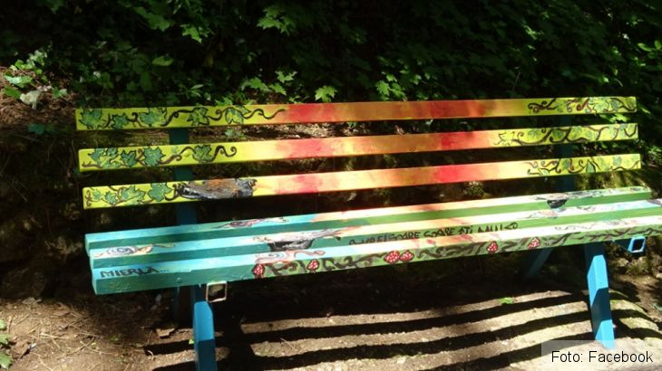 BRAŞOV. Artă pe... bănci (FOTO) 3 banci 6_268590.jpg