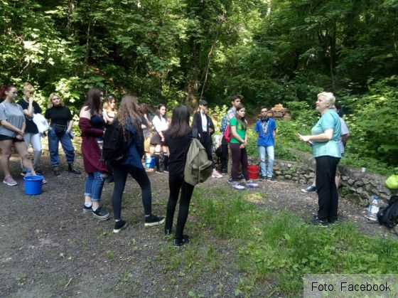 BRAŞOV. Artă pe... bănci (FOTO) 5 banci 9_268595.jpg