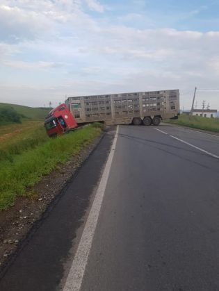 tir dn 13_268750.jpg