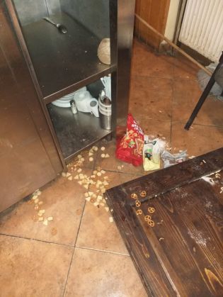 WhatsApp Image 2019-07-10 at 10.48.15_270002.jpeg