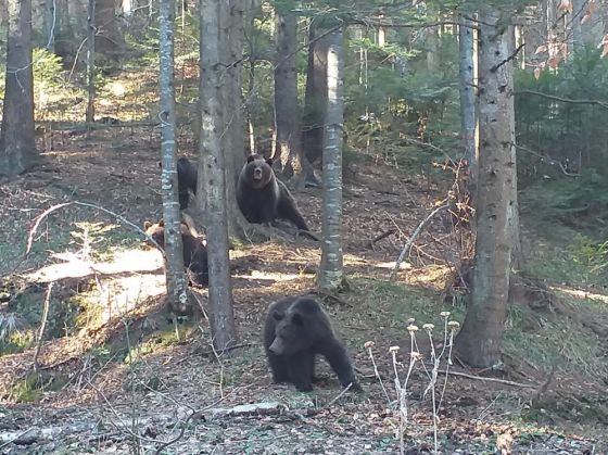 WhatsApp Image 2019-07-10 at 10.48.32_270003.jpeg