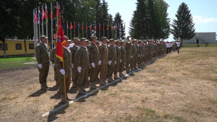 drapel-Cincu (2)_269510.jpg