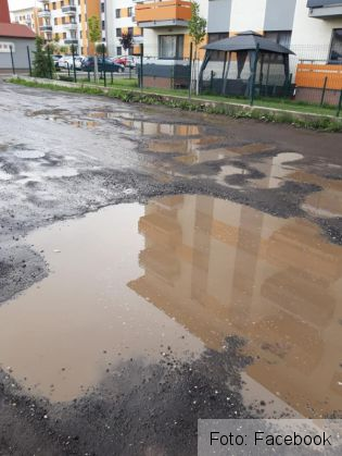 gropi tractorul 2_269951.jpg