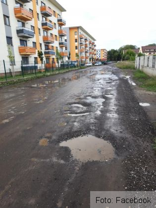 gropi tractorul_269947.jpg