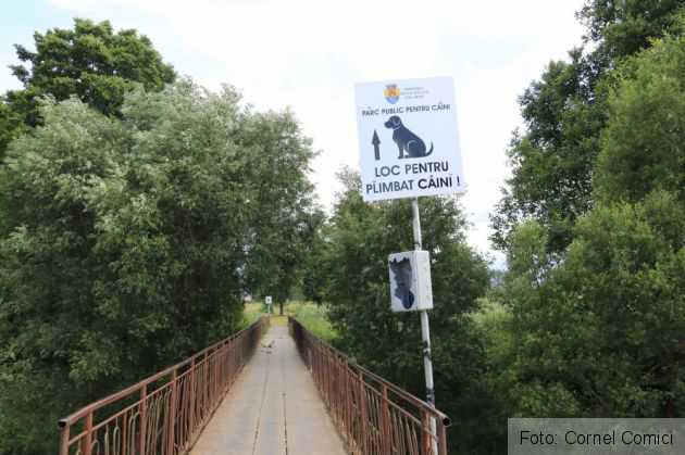 parc fagaras_269434.jpg