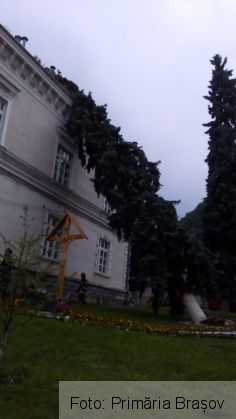 BRAȘOV. Furtuna de joi seara a făcut ravagii în oraș. Ce spune Primăria?!... 4 IMG-20190809-WA0008_270963.jpg