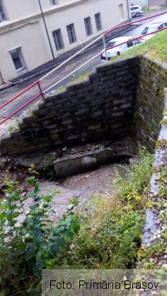 BRAȘOV. Furtuna de joi seara a făcut ravagii în oraș. Ce spune Primăria?!... 3 IMG-20190809-WA0009_270964.jpg