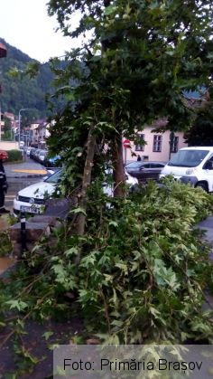 BRAȘOV. Furtuna de joi seara a făcut ravagii în oraș. Ce spune Primăria?!... 6 IMG-20190809-WA0013_270970.jpg