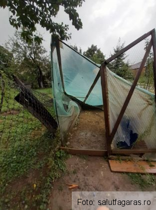 BRAȘOV. Gospodărie „călcată” de urs, în timp ce proprietarii dormeau 2 pagube margineni 2_270707.jpg