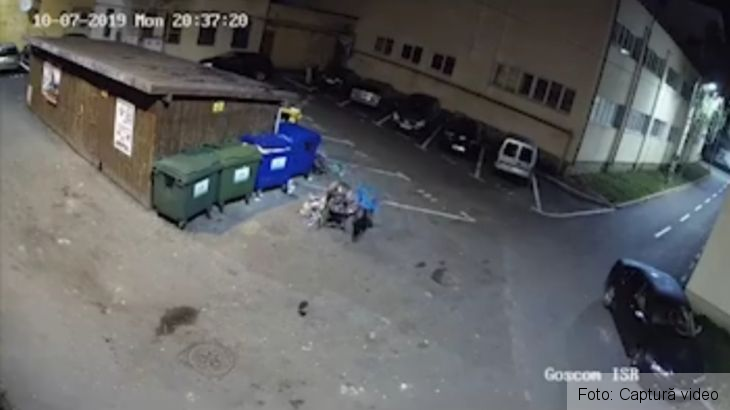Județul BRAȘOV. Amendați, după ce au fost filmați la containere! (vezi VIDEO) 5 20191014_190621_273964.jpg
