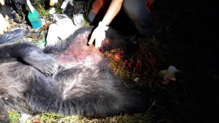 WhatsApp Image 2019-10-18 at 18.49.31_274136.jpeg