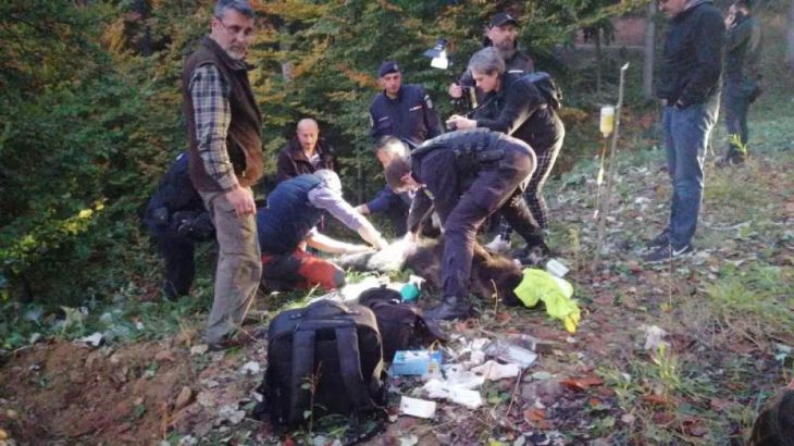 WhatsApp Image 2019-10-18 at 18.52.52_274137.jpeg