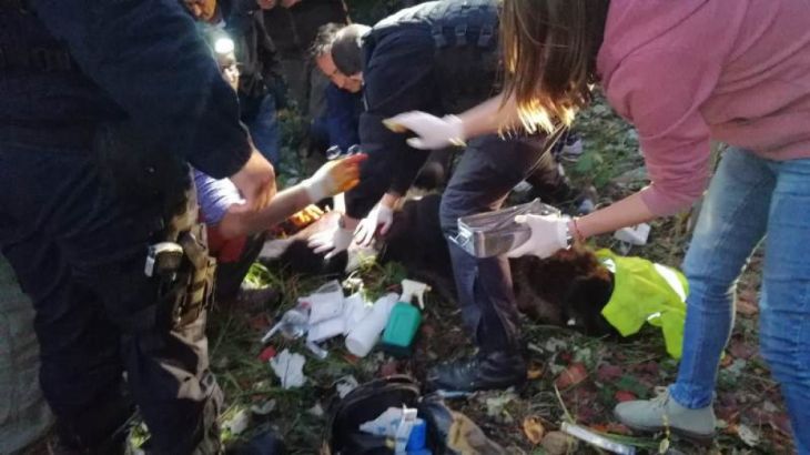 WhatsApp Image 2019-10-18 at 18.53.34_274133.jpeg