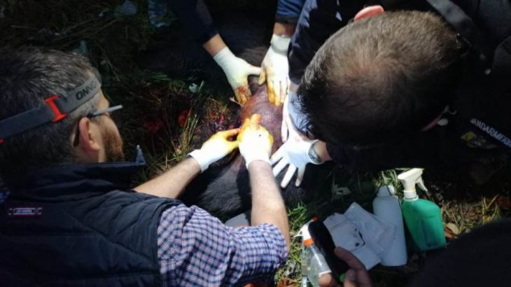 WhatsApp Image 2019-10-18 at 18.53.58_274134.jpeg