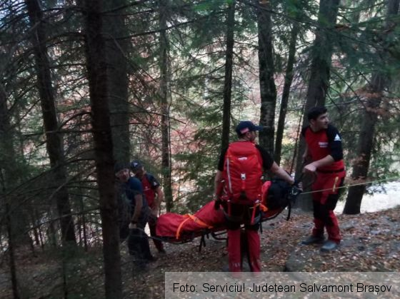 moieciu 2_274467.jpg