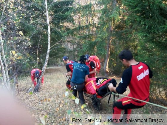 moieciu 4_274468.jpg