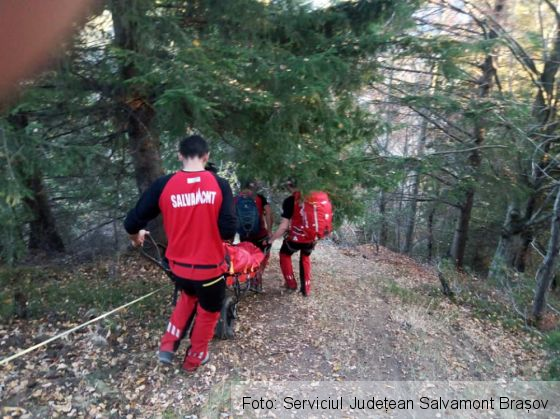 moieciu 5_274470.jpg